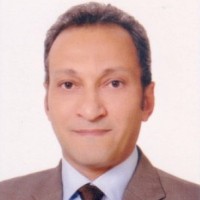 Wael El Refaey