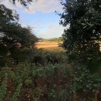 Jack Court
