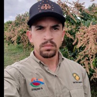 Deyvid Gomes