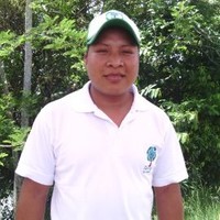 Hancel Tivoli