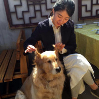 毛玉玲