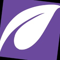 Skyron Website