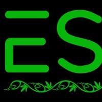 ES Sales Department (David) ErrorsSeeds