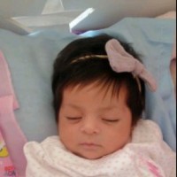 Jose de Jesus Jimenez Vargas