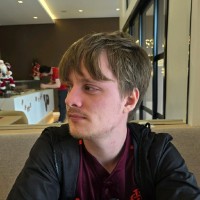 Vicenzo Koswoski França