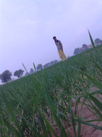 Kuldeep Bishnoi