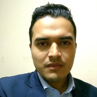 Roberto M Villa