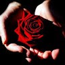 Some One