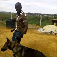 Mutesigensi Alex