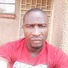 Bright Siame
