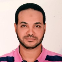 Hossam Eldeen Ahmed Omar