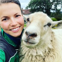 Veronica Bollestad