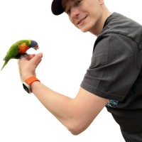 Mateusz Tomaszewski