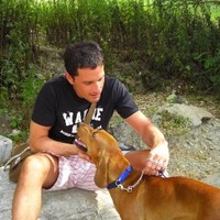 Alessandro Lazzarini