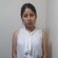 Vanessa Sharadov Vallejos Medina