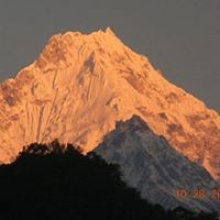 Raj Kotwal
