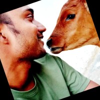 Rakesh Tiwari