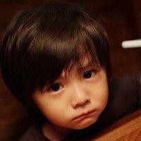 吴伟敏
