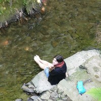 Helen O'Gara (Bradley)