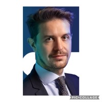 Luigi D'Alitto®