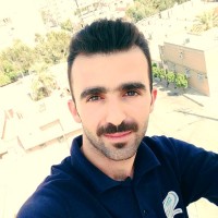 Mohsen Lotfi