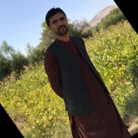 Arif Sarwari