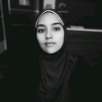 manar hamdy