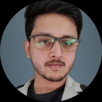 Syed Hasan Zaheen J.