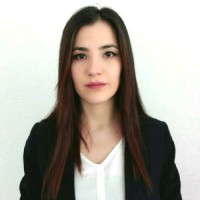 Ebru Aydın