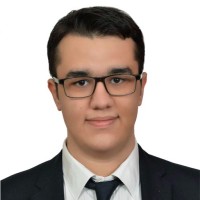 Fırat İnsel