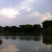 vison li