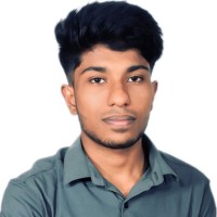Krishna N S
