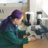 Tammy Alsop