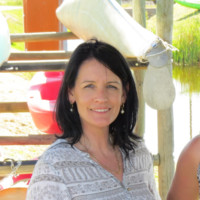 Veleté Harvey