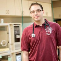 Stephen Dilday, Dvm