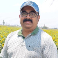 Shashanka Sekhar Tripathy