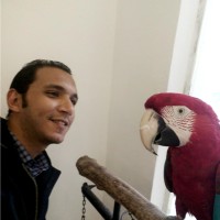 Mohamed Ahmed El-Bedwehy