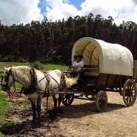 Yazmid Carvajal Bernal
