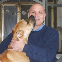Mike Disipio