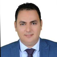 Waleed Nabil
