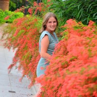 Jennifer Karle
