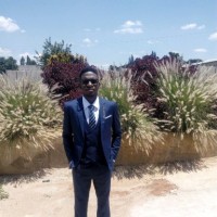 Michael DHLIWAYO