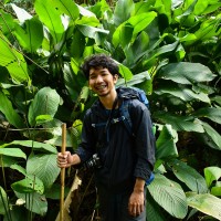 Vichagorn Lupponglung