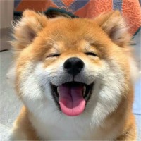 陈千千