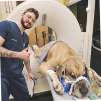 Matthew Davidson Dillon