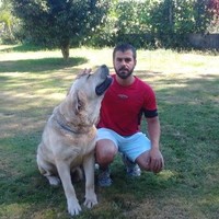 David Otero Lavandeira