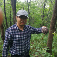 wei li