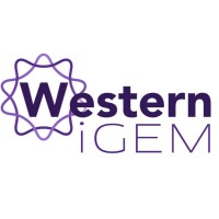 Western Igem