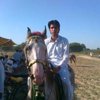 M. Sohaib Gujjar