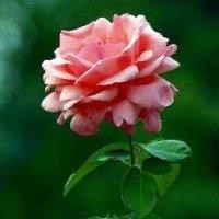 萧汉丰